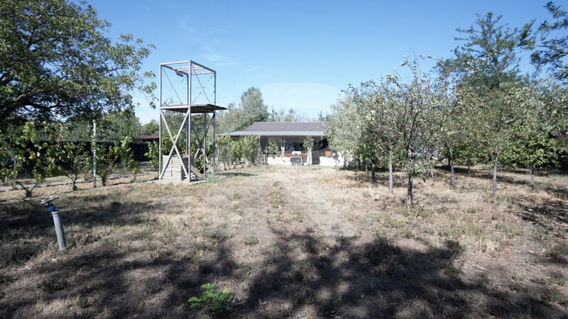 Casa langa balta Polcesti